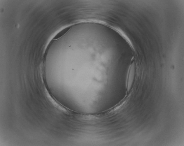 X0000081301100200702012303