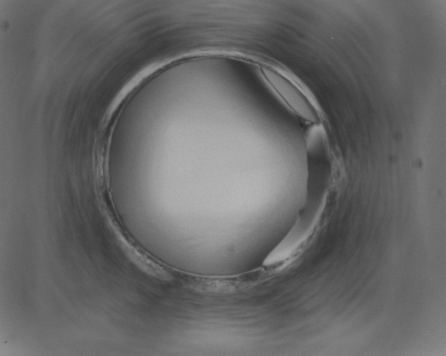 X0000081301101200702012303