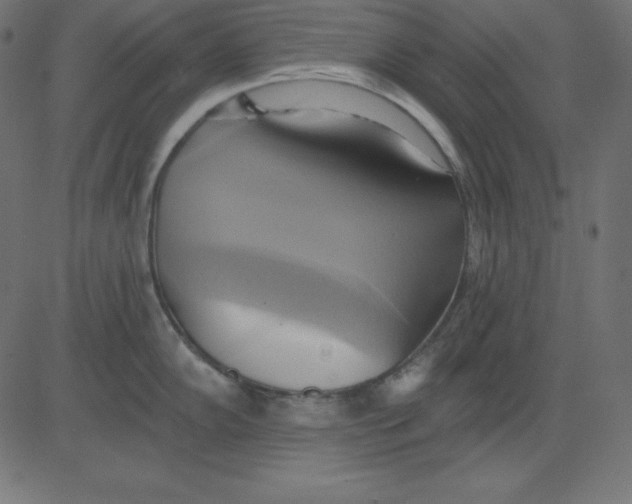 X0000081301102200702012303