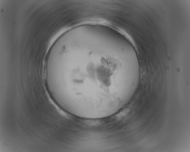 X0000081301103200702012303