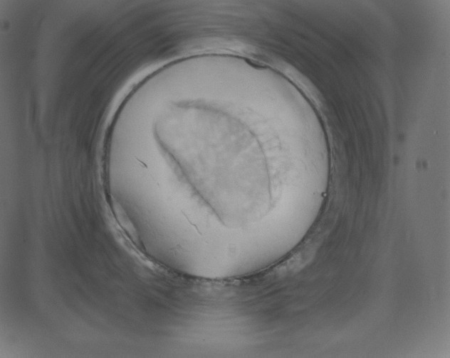 X0000081301104200702012303