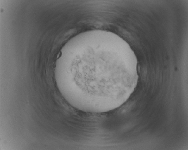 X0000081301105200702012302