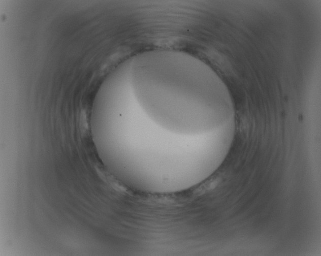 X0000081301106200702012302