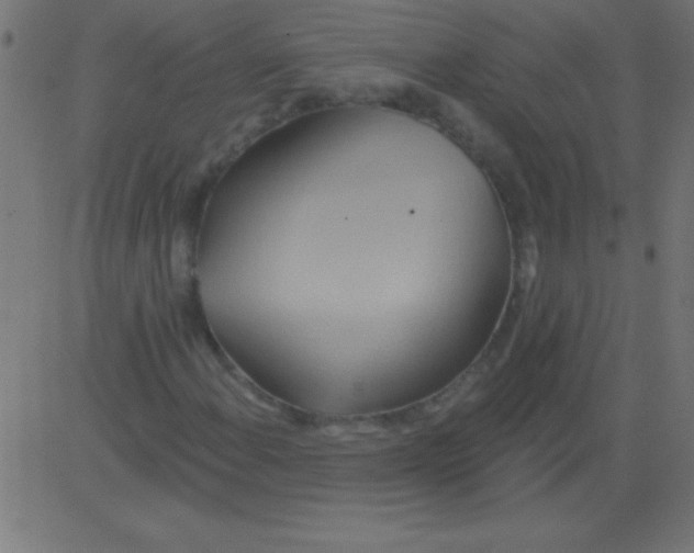 X0000081301108200702012302