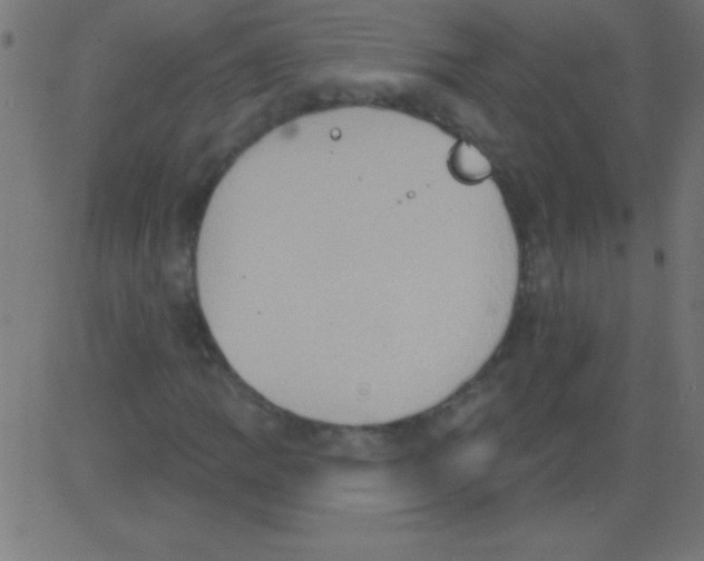 X0000081301109200702012302