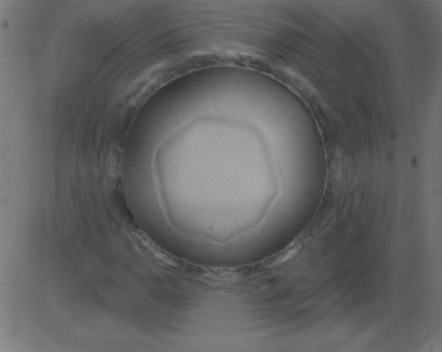 X0000081301110200702012302