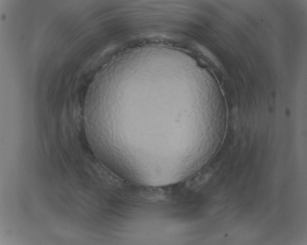 X0000081301111200702012302