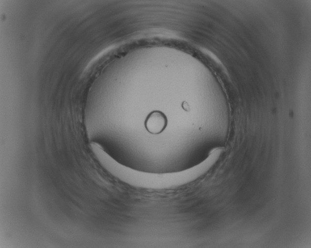 X0000081301112200702012302