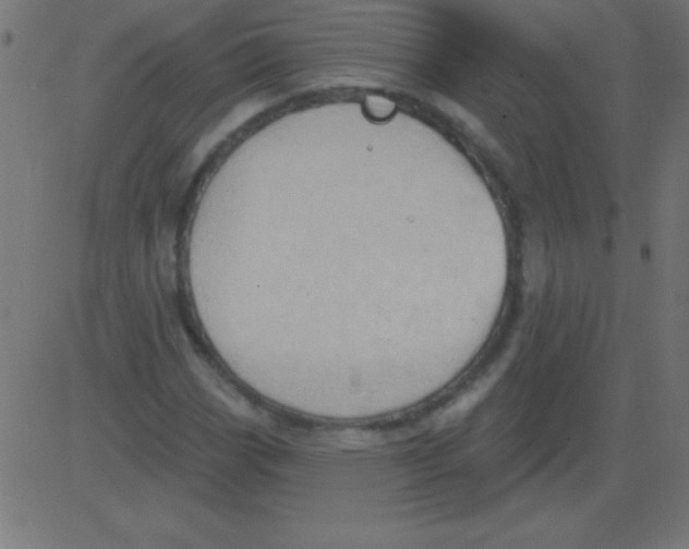 X0000081301113200702012302