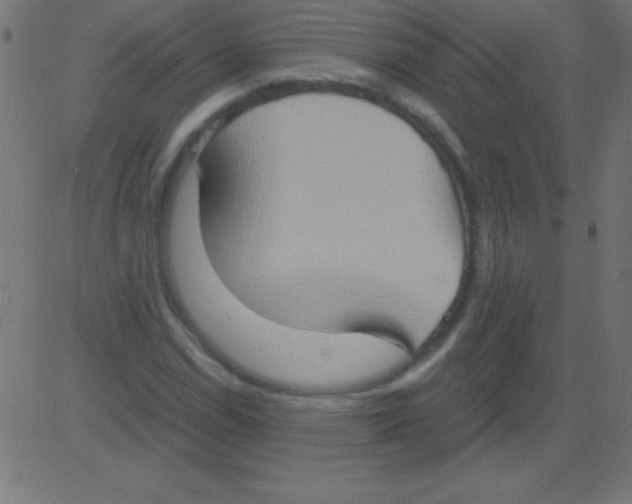 X0000081301114200702012302