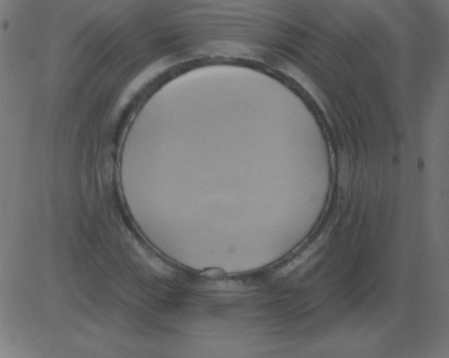 X0000081301115200702012302