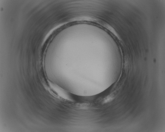 X0000081301116200702012302