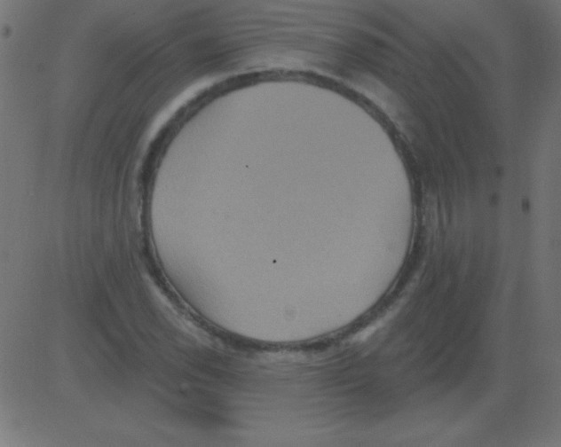 X0000081301118200702012302