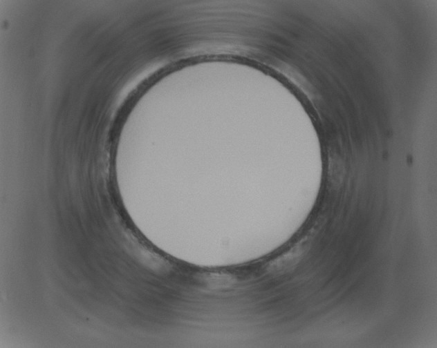 X0000081301119200702012302