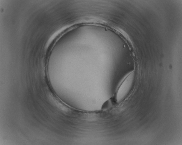 X0000081301120200702012302