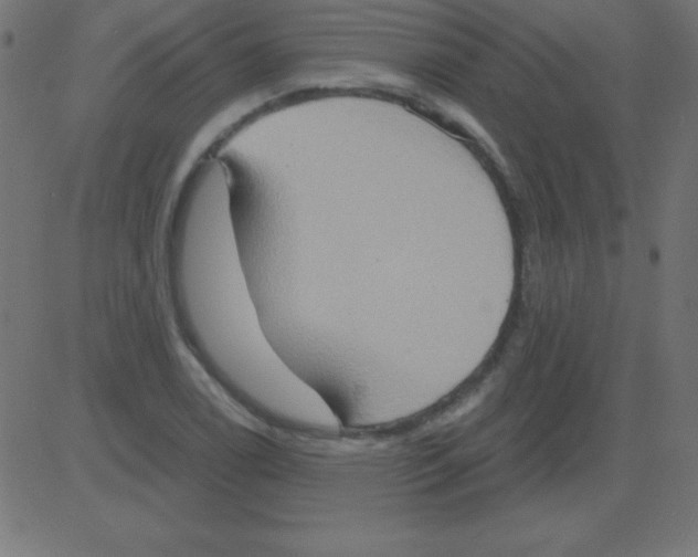 X0000081301122200702012302