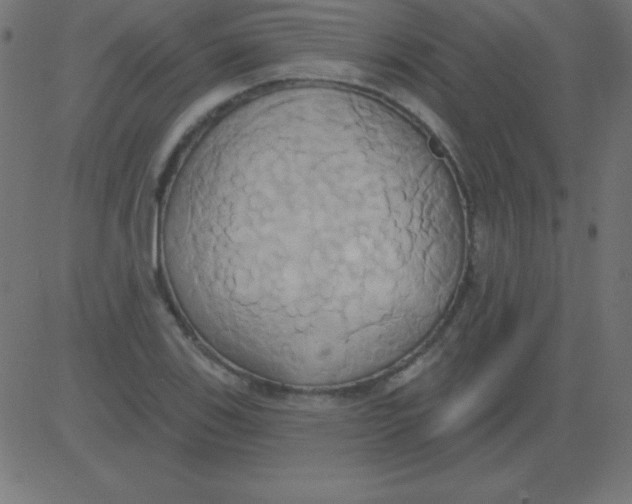 X0000081301123200702012302