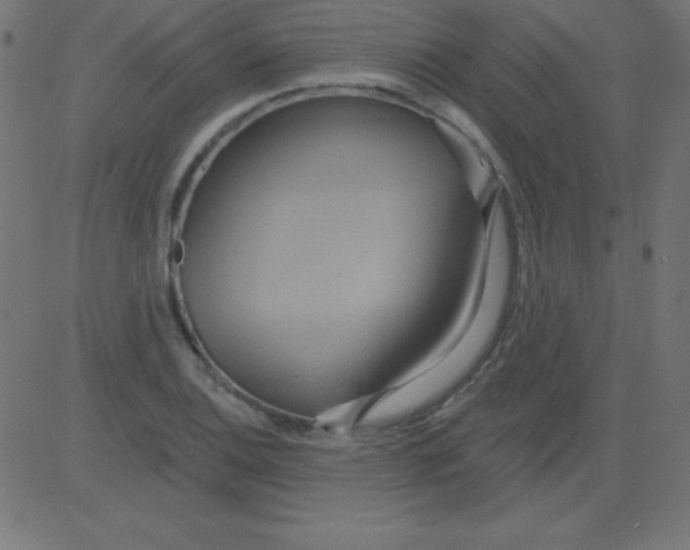 X0000081301124200702012302