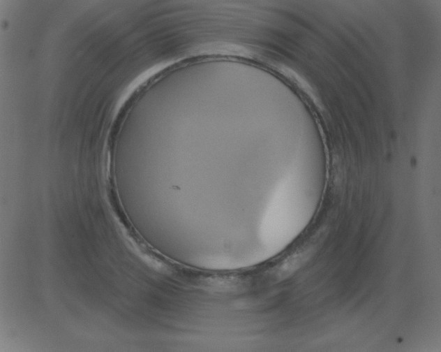 X0000081301125200702012302