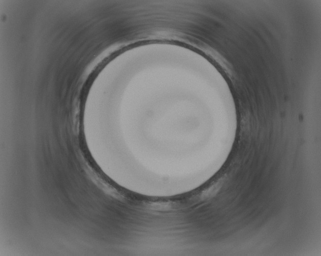 X0000081301126200702012302