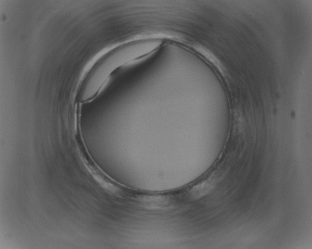 X0000081301127200702012302