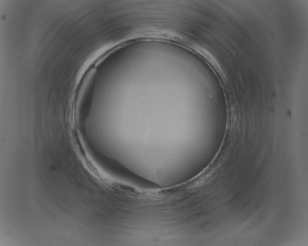 X0000081301128200702012302