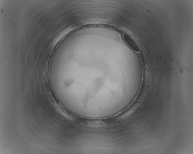 X0000081301129200702012302