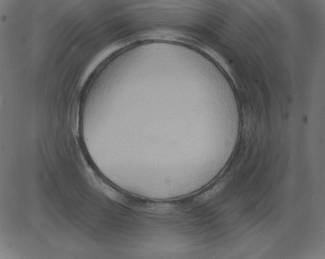 X0000081301131200702012303