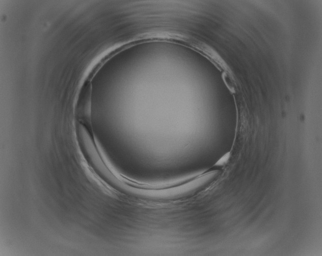 X0000081301132200702012303