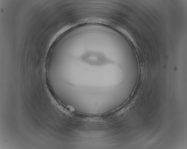 X0000081301133200702012303