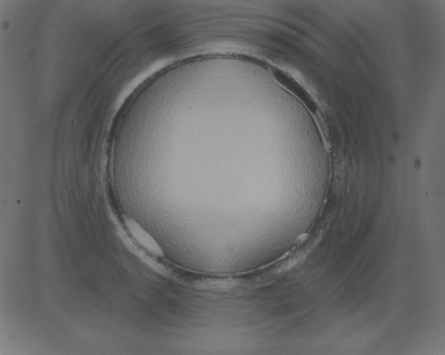 X0000081301134200702012303