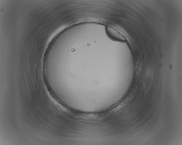 X0000081301135200702012303