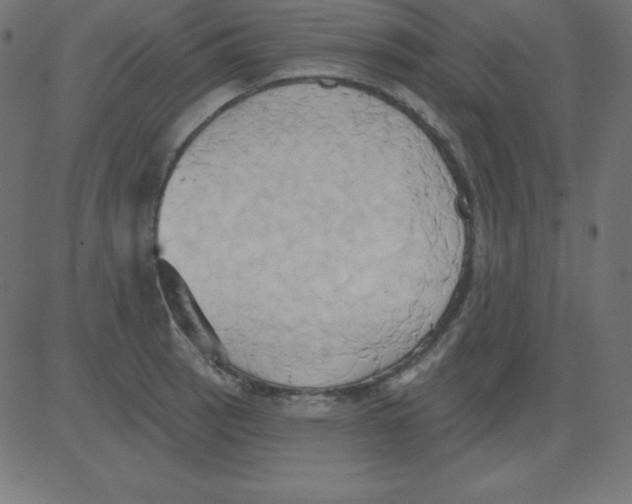 X0000081301137200702012303