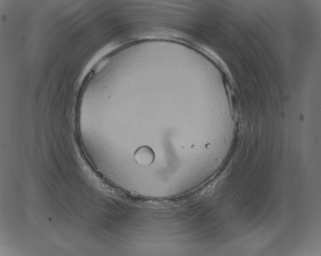 X0000081301138200702012303