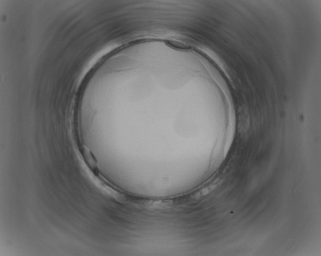 X0000081301139200702012303