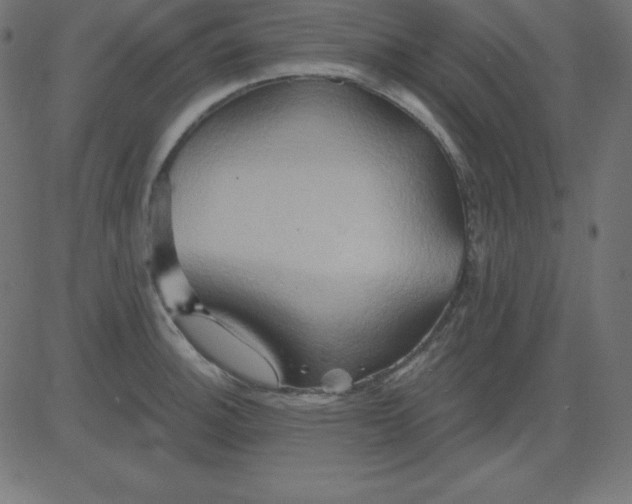 X0000081301140200702012303