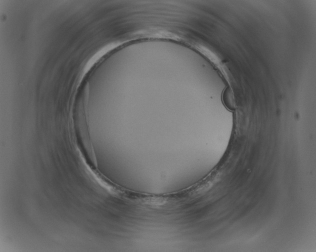 X0000081301141200702012303