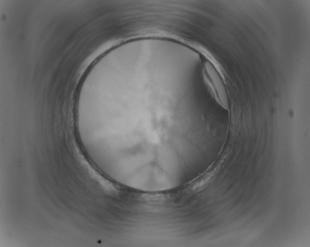 X0000081301142200702012303