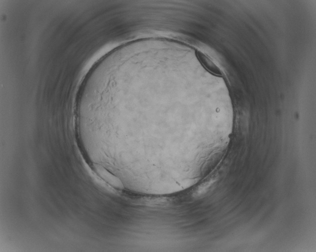 X0000081301143200702012303