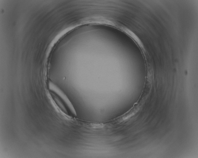 X0000081301144200702012303