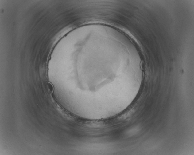 X0000081301145200702012303