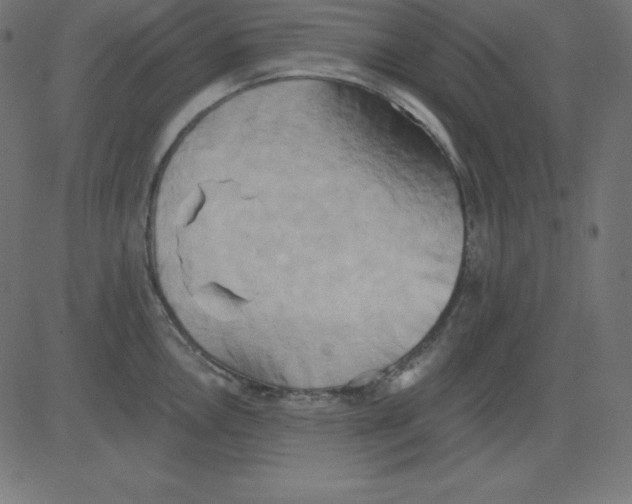 X0000081301146200702012303