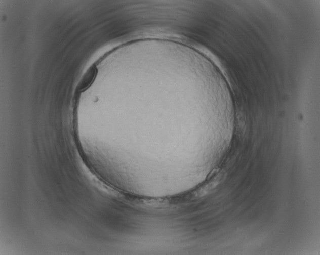 X0000081301147200702012303