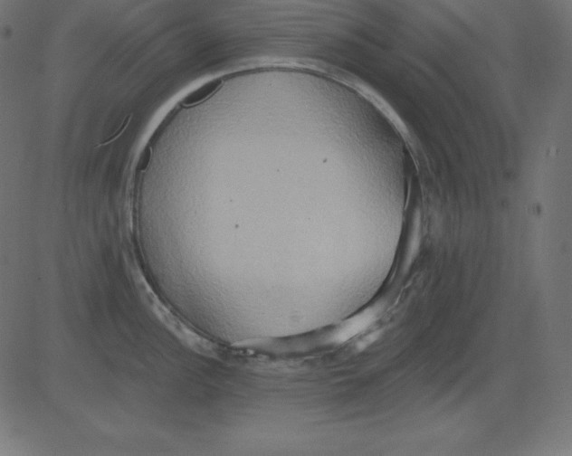 X0000081301148200702012303