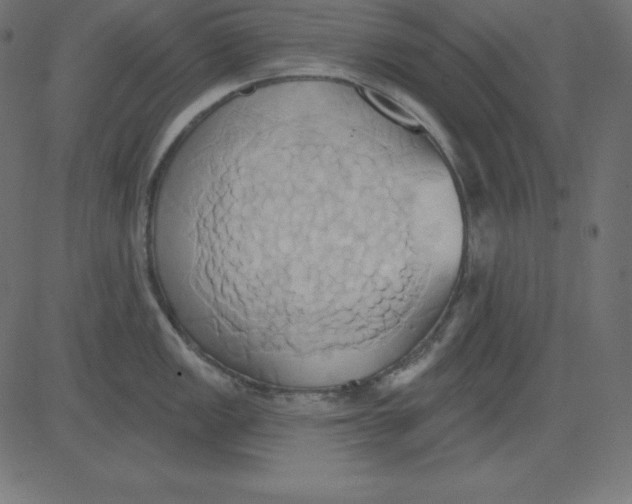 X0000081301149200702012303