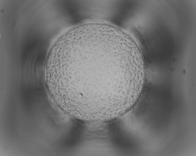 X0000081301150200702012303