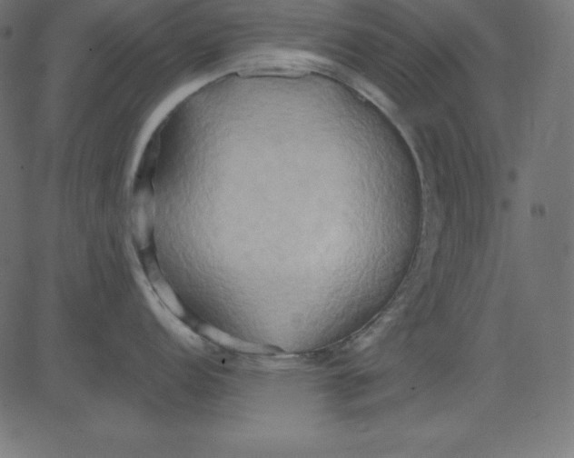 X0000081301152200702012303