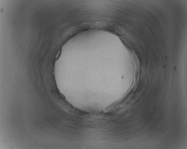 X0000081301153200702012302