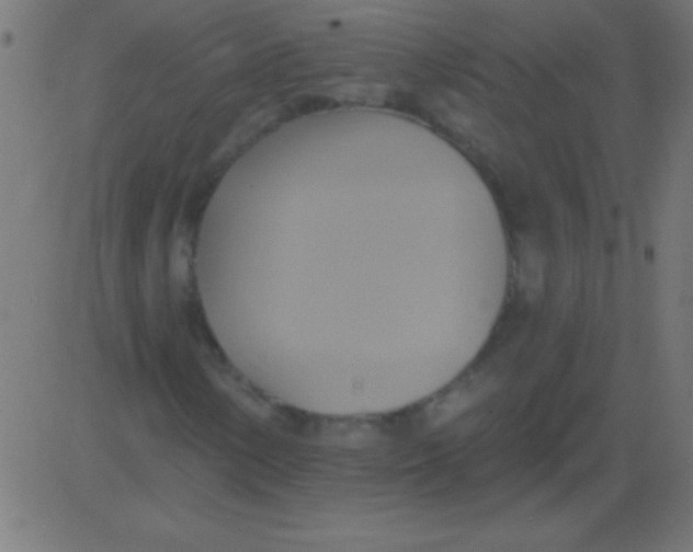 X0000081301154200702012302