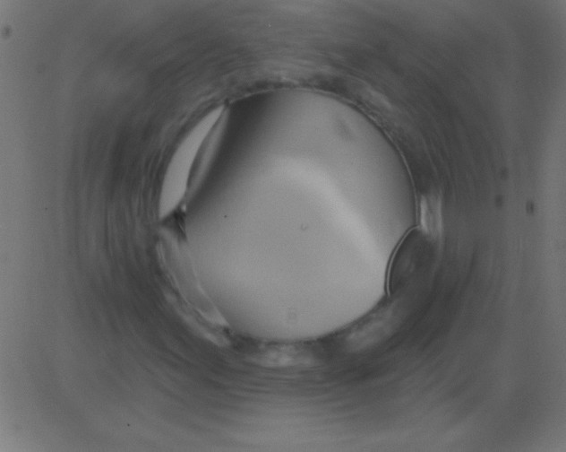 X0000081301155200702012302